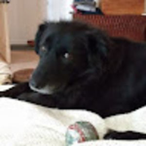 Meet your Posher, Karina